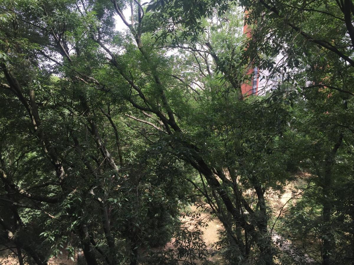 Apartment Ljiljana Belgrad Exteriör bild